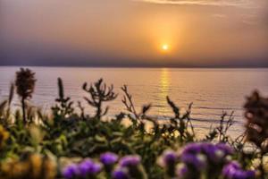 lugn gyllene solnedgång över havet med de vilda blommorna foto