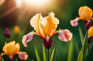 ai genererad skön gul och bordo iris på en suddig grön naturlig bakgrund. vår humör foto