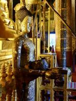 buddha statyer, gyllene buddha statyer, staty på de gammal tempel, fredlig bild av en buddha staty, gammal buddha statyer söder öst Asien foto