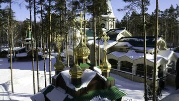 gammal kyrka luta med vit träd på kulle i ryska vinter- säsong. tempel i de skog i vinter- foto