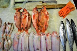 färsk fisk på marknaden foto