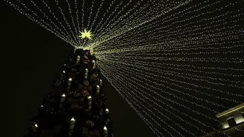 skön stad jul träd med kransar på bakgrund av mörk natt himmel. begrepp. skön ljus jul träd med kransar på molnig vinter- dag foto