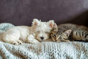 ai genererad små vit valp och katt slappa på en soffa foto