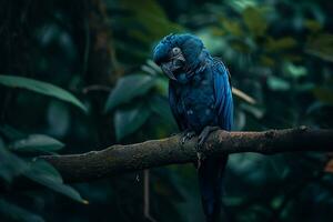 ai genererad stor blå ara ararauna i de mörk grön skog foto