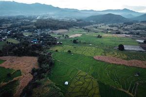 gröna risfält och jordbruk med hög vinkel