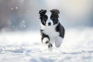 ai genererad Lycklig löpning hund på vinter- snö skog foto