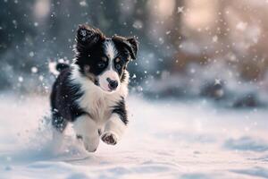 ai genererad Lycklig löpning hund på vinter- snö skog foto