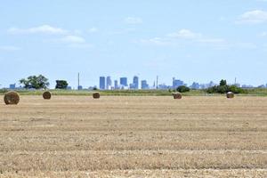 fält med rundbalar mot winnipegs skyline foto