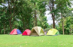 äventyr camping och tält många Färg i de parkera och träd i berg foto