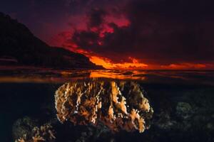 korall under vattnet och färgrik ljus solnedgång eller soluppgång, dela se med artificiell ljus foto