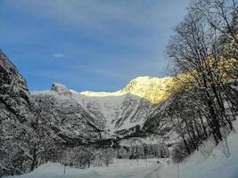 kör vid soluppgång genom berg och skogar i norge. foto