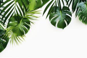 ai genererad Foto grön tropisk handflatan löv monstera på vit bakgrund generativ ai