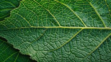 ai genererad generativ ai, makro textur av grön blad ådror, grön lövverk textur, ekologi bakgrund foto