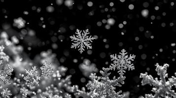 ai genererad snöflinga närbild på mörk snöig bakgrund, vinter- snöfall foto