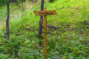 skyltning på vandringsled natur skog landskap steinkloppi utladalen norge. foto