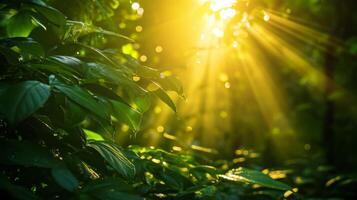 ai genererad Sol sunburst i de morgon- i grön sommar skog, skön natur bakgrund. foto