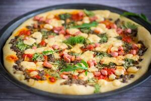 kokta pizza med svamp och grönsaker med ost och kryddor foto