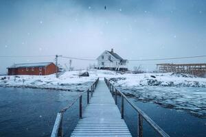 nordic vit hus på kustlinje och trä- bro i häftig snöstorm bland fiske by på lofoten öar foto