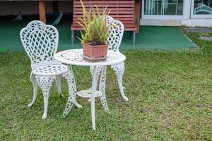 vit årgång tabell och stolar med ormbunke växt i vas på gräsmatta foto