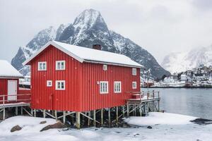 snöfall på röd hus i dal på kustlinje på lofoten foto