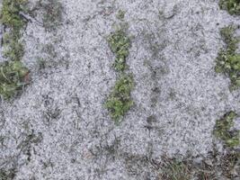 textur av fallen snö på objekt foto