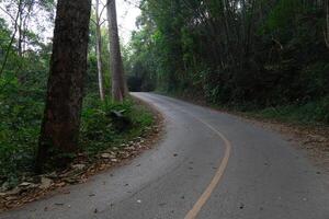 böjd uppför väg av asfalt väg. både sidor av de väg är fylld med lång träd och bambu skogar. på chae son nationell parkera thailand. foto