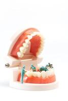 miniatyr- människor , tandläkare reparation mänsklig tänder med tandkött och emalj foto