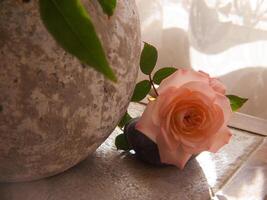 en blomma Sammanträde på en sten tabell Nästa till en vas foto
