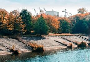 pripyat, Ukraina, 2021 - Tjernobylskogen som tar över byggnader foto