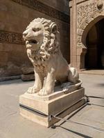 lejonstaty framför palatset foto