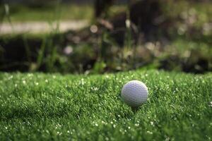 golf boll stänga upp på tee gräs på suddig skön landskap av golf bakgrund. begrepp internationell sport den där bero på precision Kompetens för hälsa avslappning foto