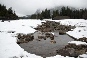 vackert vinterlandskap med snö, en flod och en skog som bakgrund foto