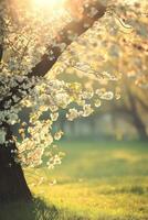 ai genererad morgon- bakgrund med blommar, mjuk solljus foto