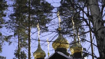 vinter- landskap med snötäckt träd mot de bakgrund av en kristen kyrka efter en snöfall. frostig solig dag foto