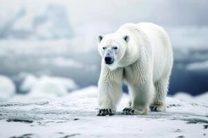 ai genererad polär Björn i de arktisk livsmiljö generativ ai foto