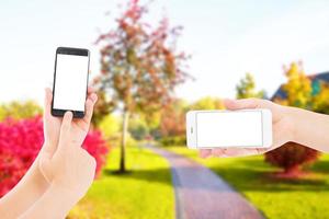 horisontella och vertikala tomma skärmar telefon på suddig park bakgrund, handhåll mobiltelefon foto