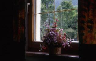 en fönster med en vas av blommor foto