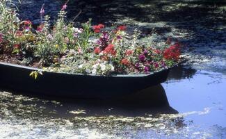 en båt fylld med blommor foto