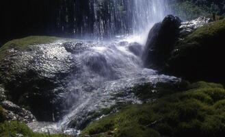 en vattenfall i de trän foto