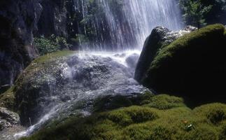 vattenfall i skogen foto