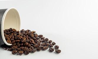 rostad arabica kaffe bönor, redo till göra kaffe den där människor tycka om till dryck. placerad i en svart kaffe kopp papper på de bakgrund. utseende skön och aptitlig. dryck. foto