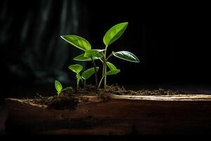 3D-illustration förnybar energi koncept jorddag eller miljöskydd skyddar skogarna som växer på marken och hjälper till att rädda planeten. foto