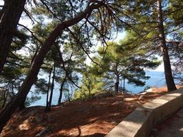 resa runt montenegro, Adriatiska havet, landskap foto