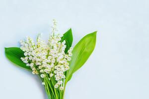 suddig blommig naturlig bakgrund. mjuk fokus. vår landskap. blommor lilja av de dal foto