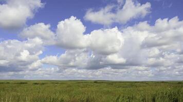 grön fält sommar landskap, timelapse. moln och blå himmel fält foto