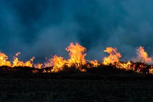 de rörelse av de lågor i de mörk foto