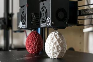 dubbel extruder 3d skrivare som färdiga utskrift två bicolor ägg modell, idex teknologi foto