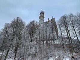 neuschwanstein slott under vinter- tid. fotograferad från Nedan. foto