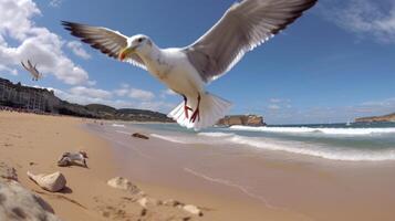 ai generativ bondi strand sydney Australien fisk öga se foto