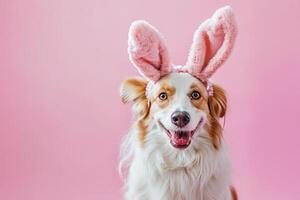 ai genererad en hund bär en kanin pannband med generativ ai foto